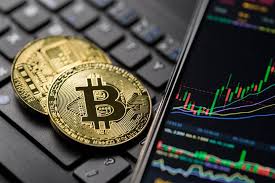 Expert Insights on Trading Software Crypto