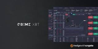 Understanding Crypto Trading Insights A Guide to the PrimeXBT Info Hub