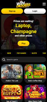 Your Comprehensive Guide to Win Diggers Online Casino